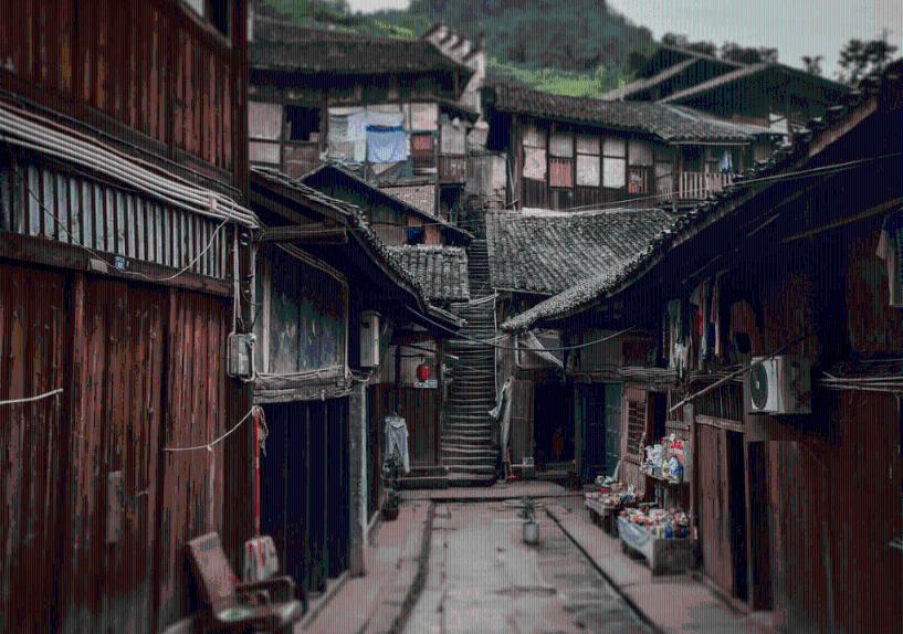 动物帮帮忙保卫家园